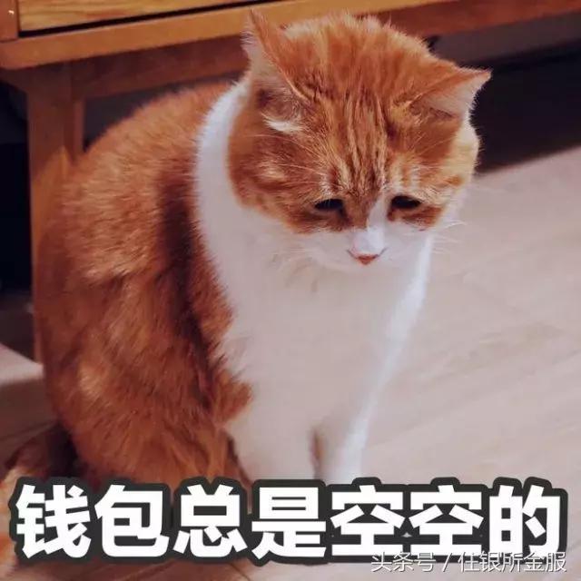 什么样的金叫狗头金,狗头金名字由来