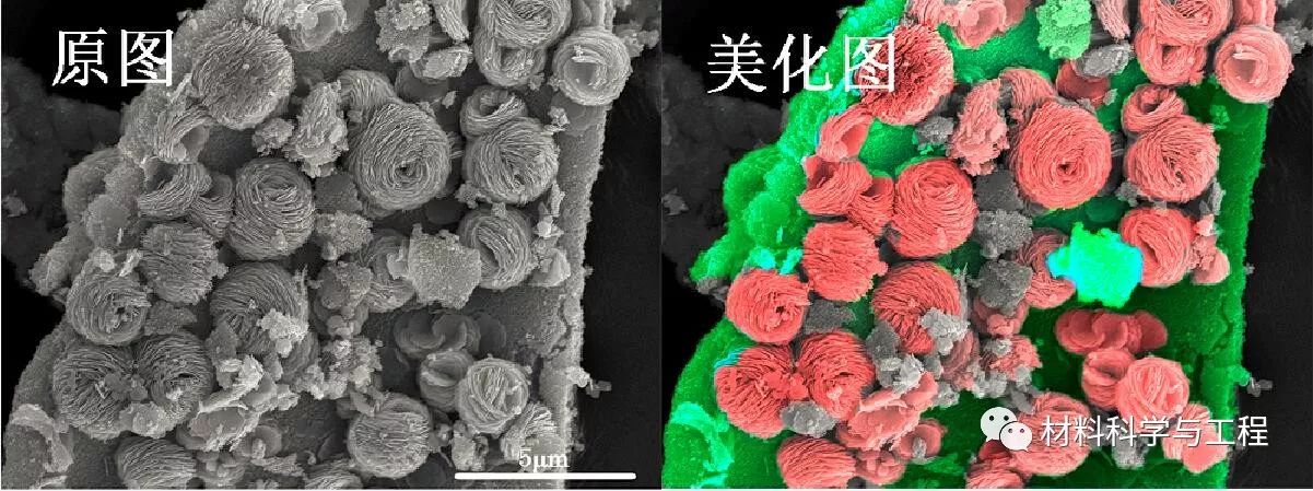 投票表决素材模板,投票素材图片图文