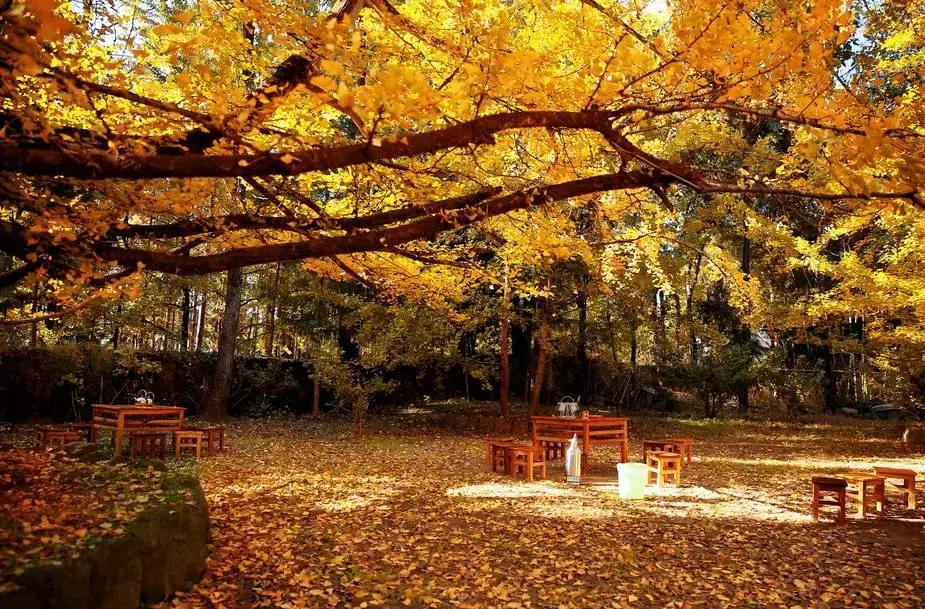 人总要有向往才能去你想去的地方,每个人的内心都有一些想去的远方