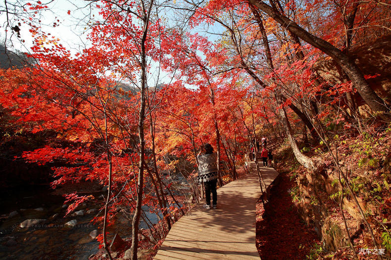 家乡之美美篇,家乡之美原唱完整版