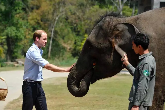 火线狂欢值得买吗,火线狂欢节游戏视频