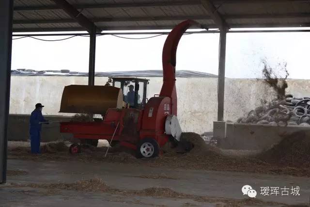 奶粉市场调查与分析,黑龙江黑河奶粉