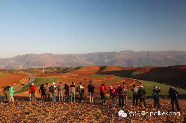 摄影狗，没女友，见了都得绕着走｜推荐