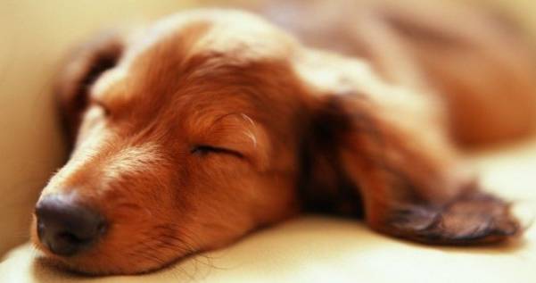 睡觉频繁做恶梦?别害怕,试试这4个方法吧