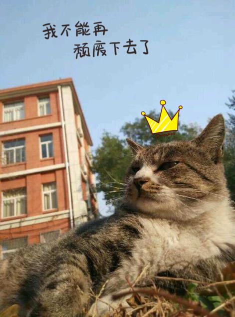 国医·青年嘘，这些秘密只有北中医人才听得懂~