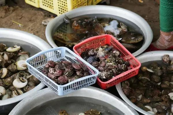 越南岘港旅游值得去吗,越南岘港是落地签还是免签