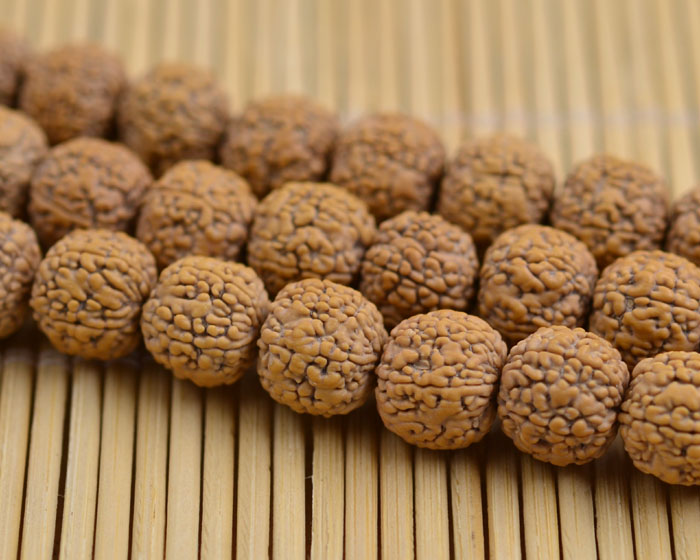 金刚菩提有几种品种图片,金刚菩提顶级品种