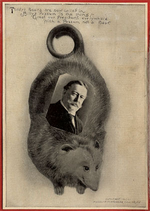 女孩都爱的泰迪熊为什么被叫做“泰迪”熊？里面的故事还蛮血腥的