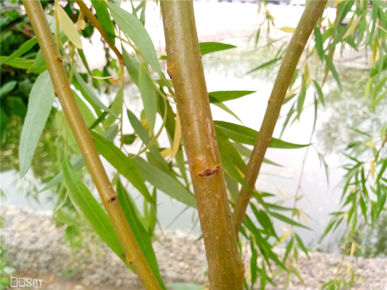 金立s8手机测评,金立s8最新价格