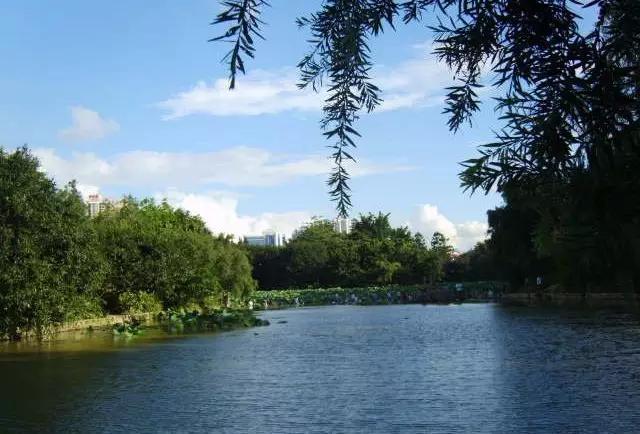 深圳有没有好看的风景湖,深圳美湖