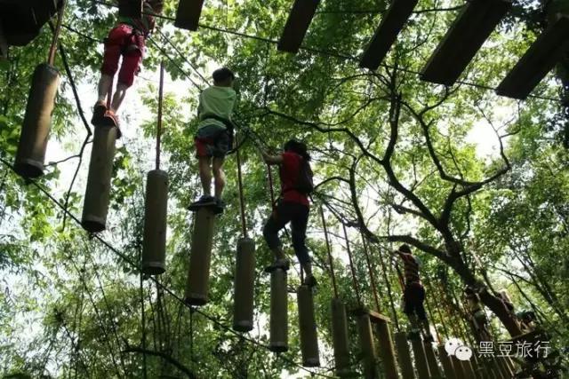 今年五一不出门宅在家里,五一不宅家悦游好时节