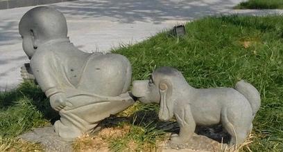 狗狗喜欢吃杂食怎么办,狗狗喜欢吃草怎么解决