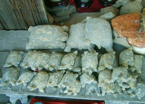 真正的奇石一般在哪里,真正的奇石是怎么样的