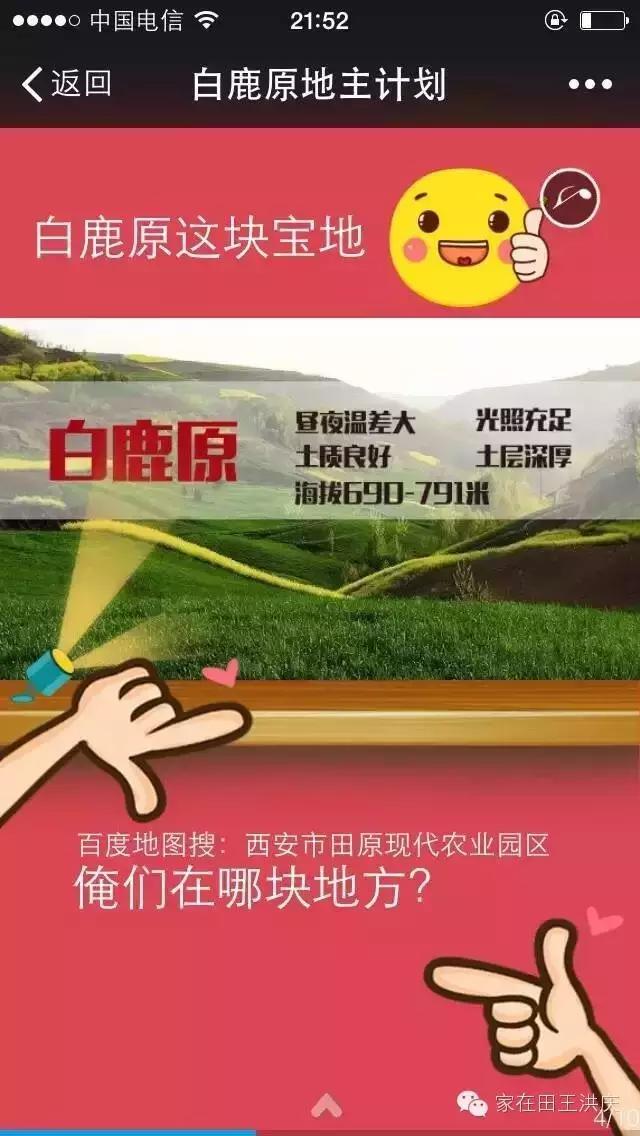 白鹿原采摘大樱桃,去白鹿原采摘樱桃