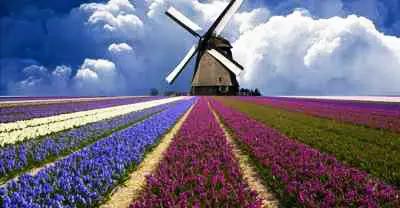 最美四月天，快来体验不一样的金州吧!最新时刻表值得收藏！