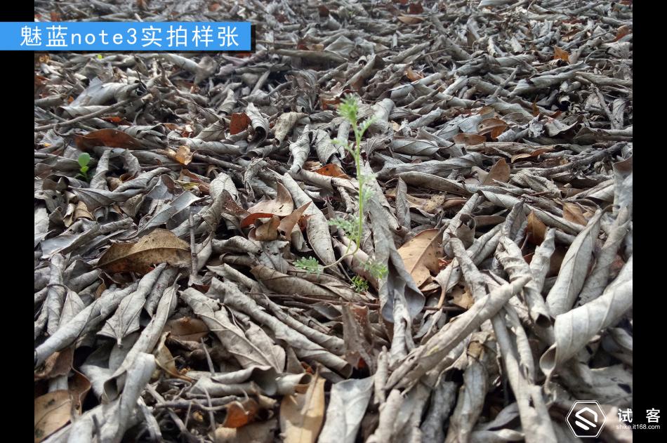 续航持久不发热手机,魅蓝note3续航