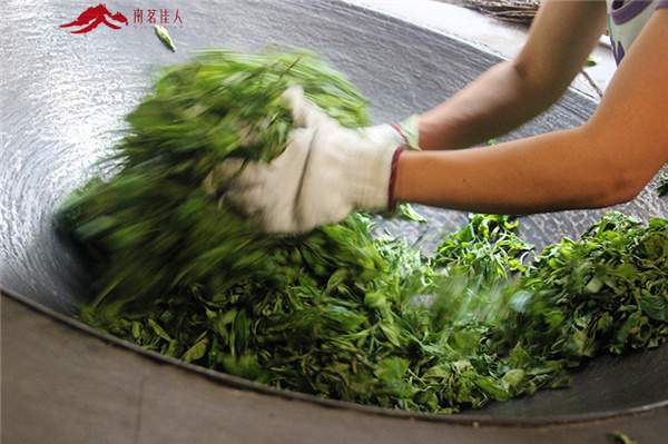 春茶之旅第二站：贡茶麻黑和新秀落水洞