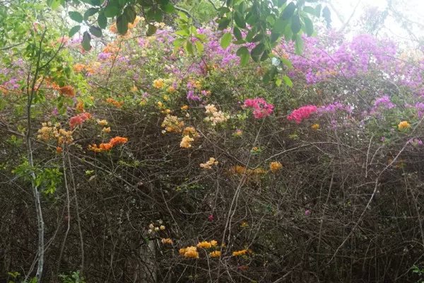 感受海岛三亚的浪漫,三亚湾浪漫之旅