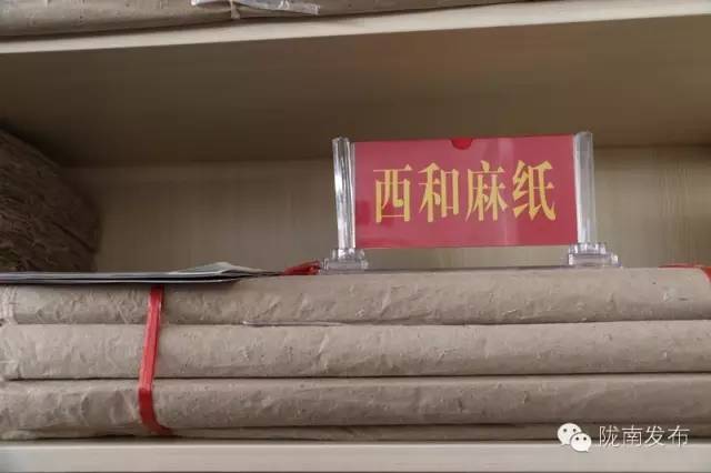 一天时间，陇南电商观摩组看了什么”点“？取了哪些”经“？