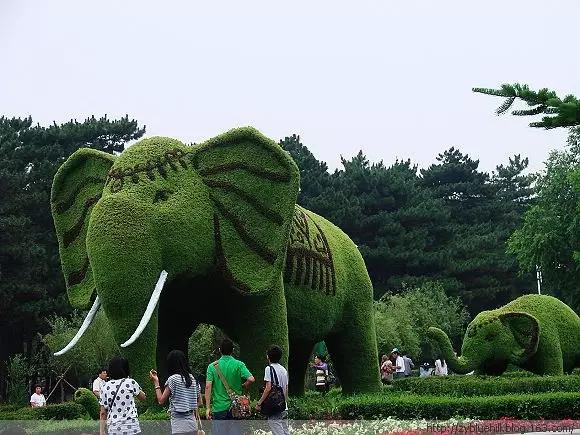 在长春取景的电视剧,在长春取景拍摄的影视剧