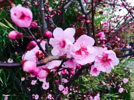 我叫威海，这是我的最新简历，请多关照！