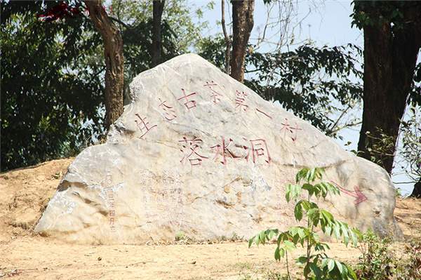 春茶之旅第二站：贡茶麻黑和新秀落水洞