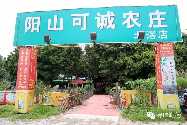 吃正宗清远鸡阳山,正宗阳山清远鸡