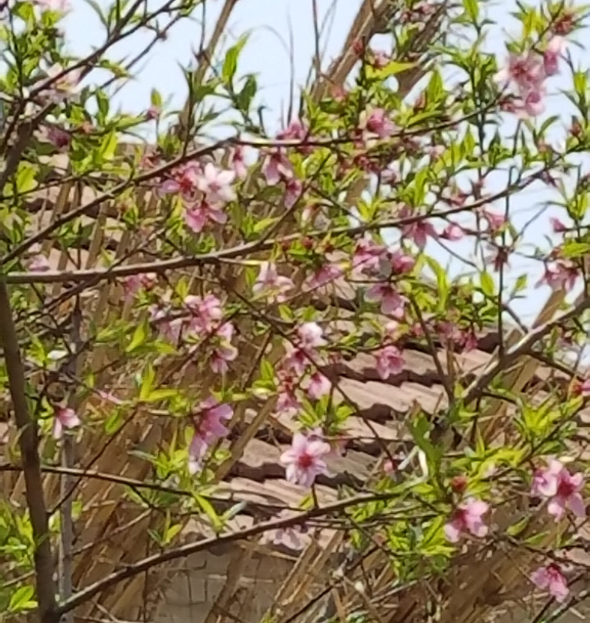 三星s7对比5s,三星s7e和note7