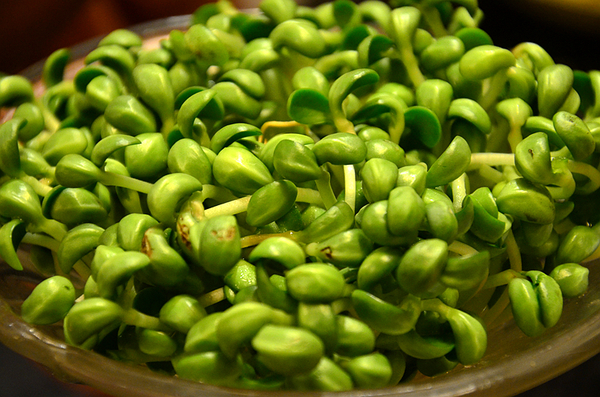 德庄是重庆火锅还是四川火锅,重庆最正宗德庄火锅