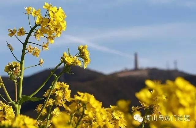 衢山特色方言,衢山方言