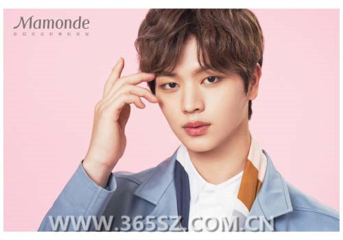 韩国bts爱豆,btob偶像本色