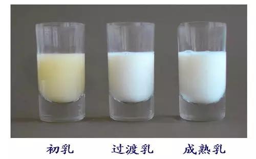 科普传说母乳是血液转化成的这是真的吗？