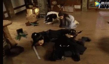 从龙套成一线明星,从龙套到影帝的影视历程