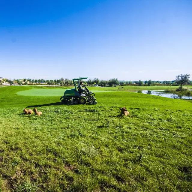 「焦点」中卫这个地方的蓝天碧水美出了新高度，比这更美的还有……