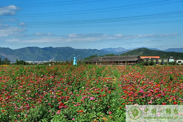 梧州新年旅游攻略,元旦梧州旅游最佳去处