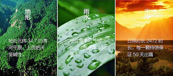 糖心柿饼软糯香甜,正宗富平流心柿饼黄色小包装