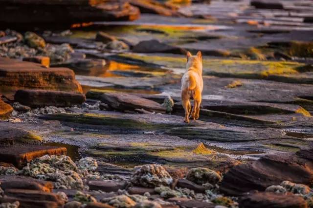 最美的旅游小岛,亚洲十大最美小岛