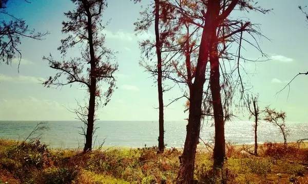 最美的旅游小岛,亚洲十大最美小岛