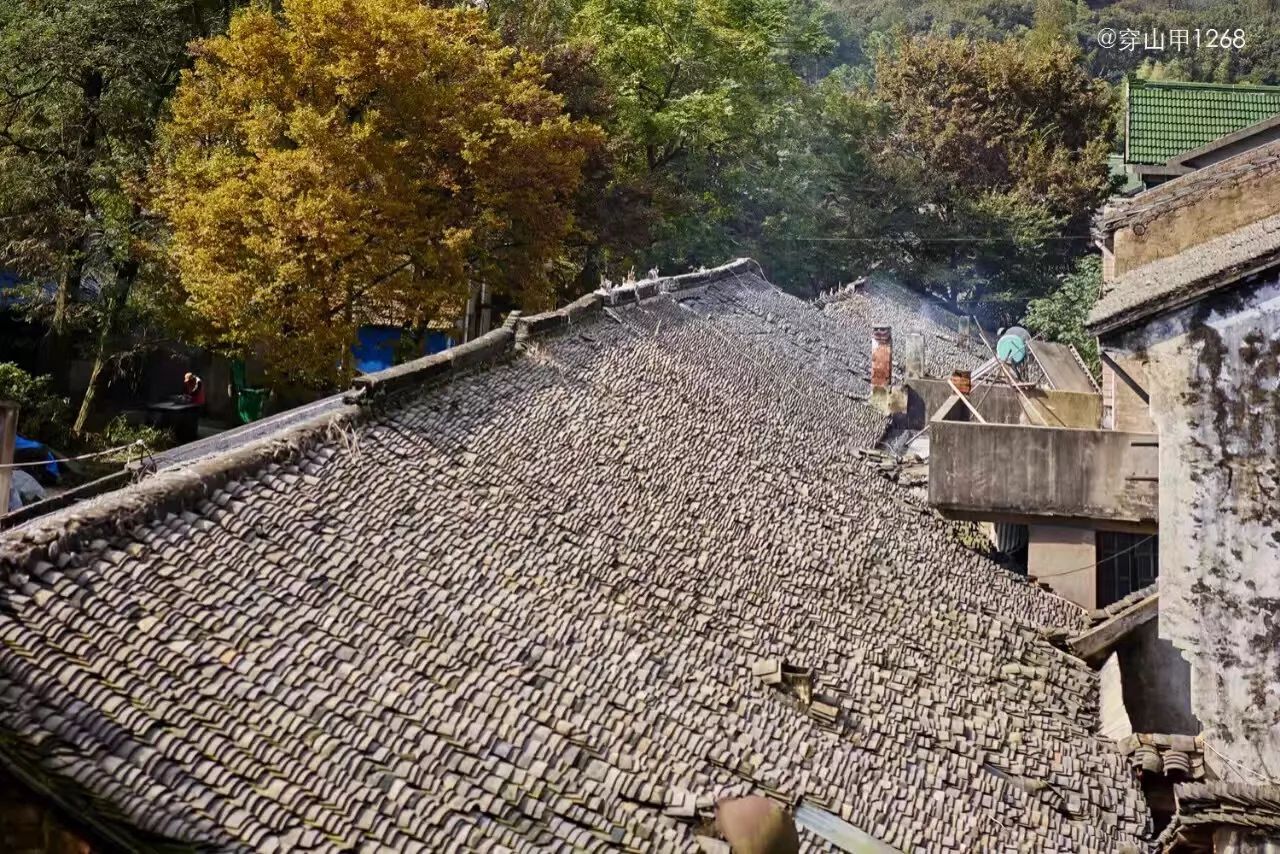 无锡千年古村尧歌里火了,无锡古村尧歌里在哪里