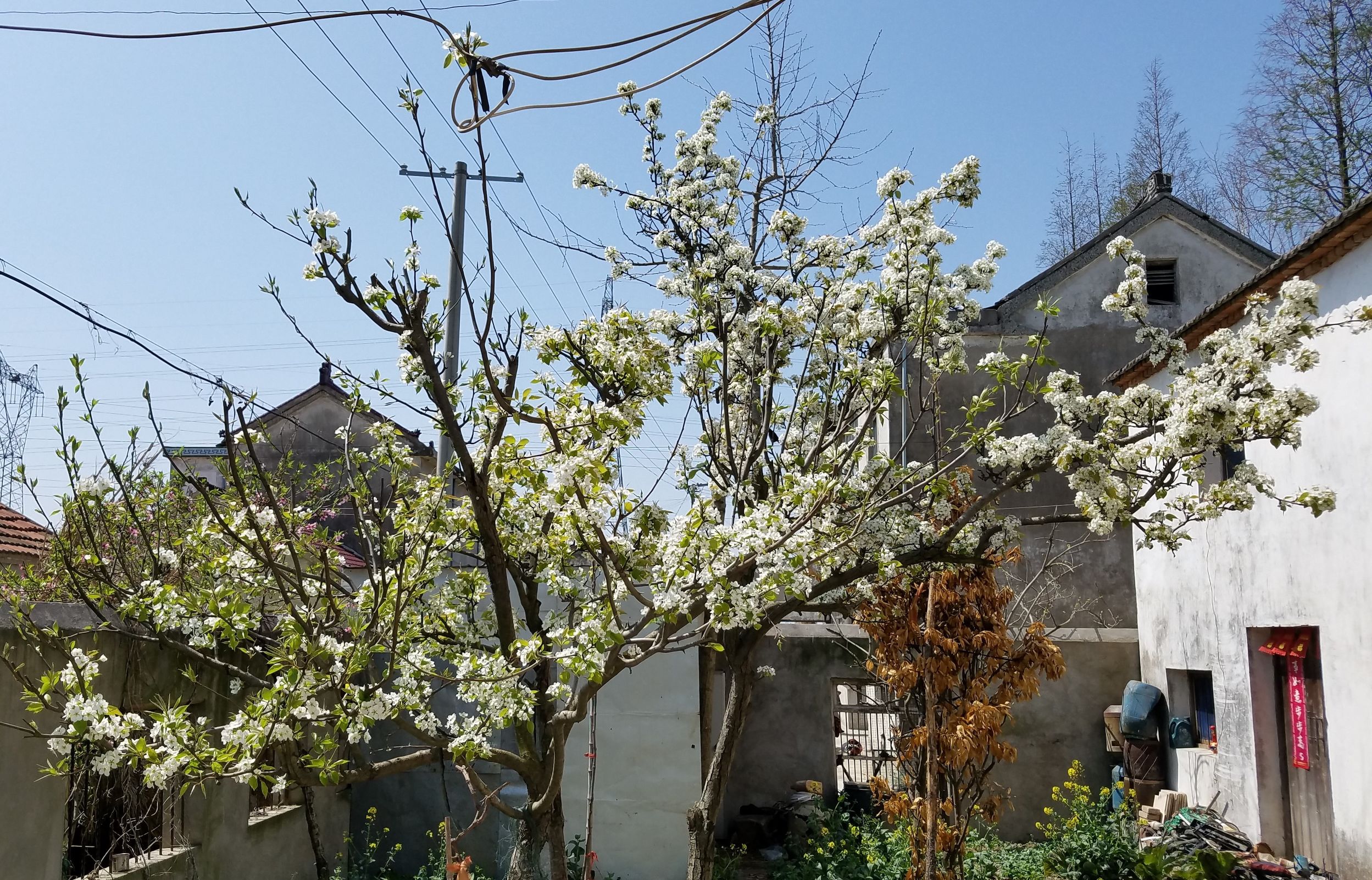 三星s7对比5s,三星s7e和note7