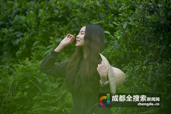 成都都江堰市达人探店,都江堰旅游达人