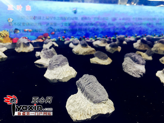 五一劳动节吃喝玩乐,五一吃喝玩乐活动策划