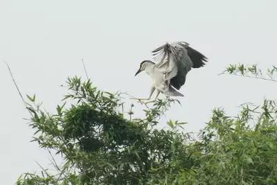 广州遛娃周边游玩好去处,广州市区遛娃打卡好玩的地方