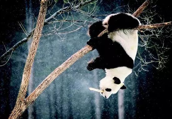 老舍在青岛的生活经历,老舍住在济南哪里