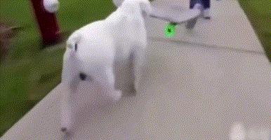 英斗劝退指南,英斗尴尬期和爆头期