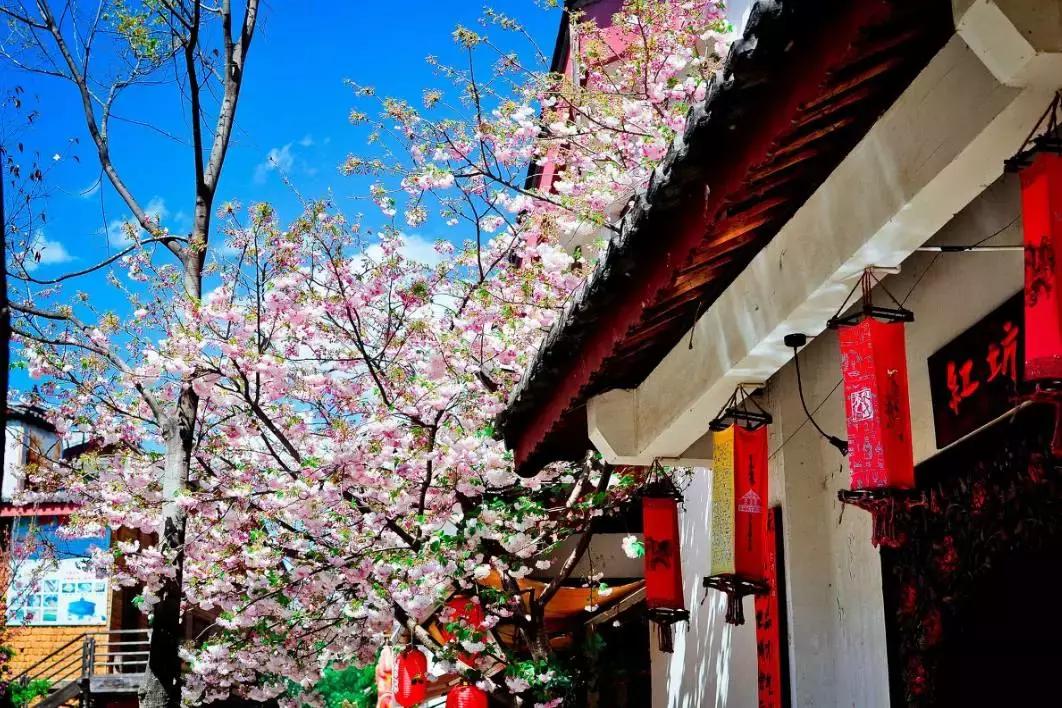 收藏一些自己喜欢的东西,收藏起来你一定用得到