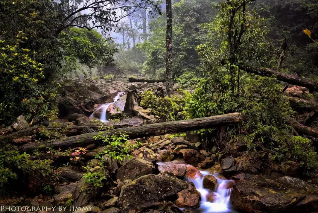 收藏一些自己喜欢的东西,收藏起来你一定用得到