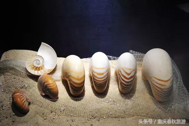 同事伴手礼送什么最合适,适合送同事的伴手礼