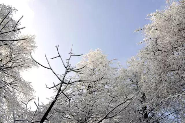 彭水摩围山旅游攻略,彭水摩围山风景区演出活动