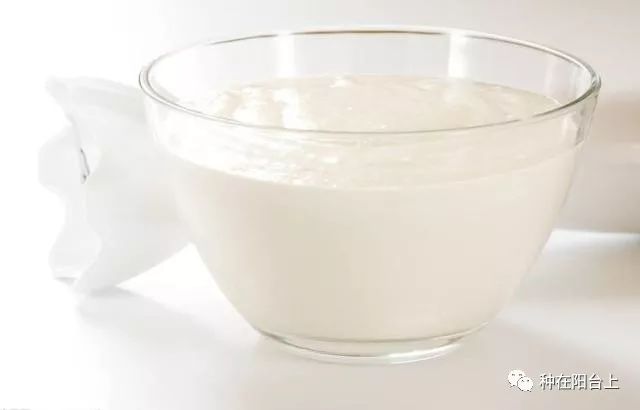 花花草草生虫用什么药更好,阳台花草长虫怎么处理